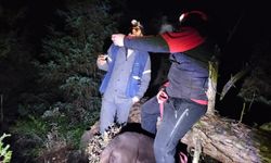 Sağır ve dilsiz adam mantar aradığı ormanda kayboldu