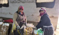 Kütahya'nın komşusunda 15 liradan satılan patatesler yüz güldürüyor