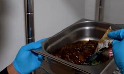 Kurallara Uymayana Tutanak: Kütahya’da Gıda Operasyonu