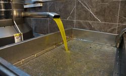 Zeytinyağı fiyatları arttı