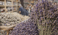 Kütahya'da, şifasıyla ünlü ot sigarayı bıraktırıyor