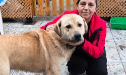 Dernek Başkanı Tola’dan Vicdan Çağrısı: “Bu Zulme Sessiz Kalmayacağız”