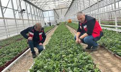 Simav Tarımı Mercek Altında