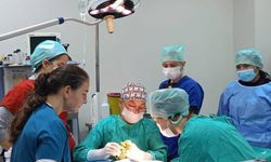 Hayvan Hastanesinde Yoğun Mesai: 3 Bin Hastaya Şifa