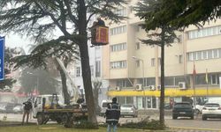 Kütahya’da Olası Tehlikelere Karşı Riskli Ağaçlara Önlem