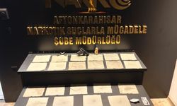 Narkotik Ekiplerinden Başarılı Operasyon: 1 Tutuklama