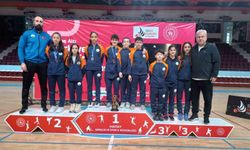 Şampiyonada Parlayan Yıldızlar: Osmangazili Badmintoncular