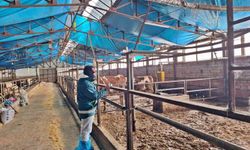 Tavşanlı’da Çiftçiye Yakın Takip: İşletmeler Tek Tek İnceleniyor