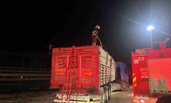 Yolda Dehşet! Talaş Yüklü Tır Bir Anda Alev Aldı