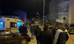 Zincirleme Trafik Kazası Bilecik’te Can Aldı: 1 Yaralı