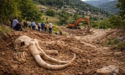 Karaağaç Köyü Ayakta!  Milyonlarca Yıllık Fosillerin Üzerine Taş Ocağı mı Açılıyor?