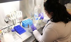 Beyin Kanserinde Umut Veren Gelişme Kütahya’dan Geldi