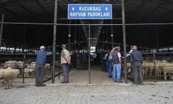 Beklenen Haber Geldi: Kütahya Canlı Hayvan Pazarı İçin Tarih Belli Oldu