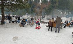 Domaniç’te Festival Bereketi: Katılım İki Katına Çıktı