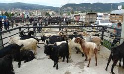 Kütahya'da müjde: Hayvan pazarı bu tarihte açılıyor