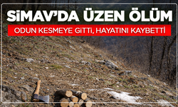 Simav’da Üzen Ölüm : Odun Kesmeye Gitti, Hayatını Kaybetti