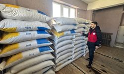 Simav’da yem alarmı! Veteriner hekimler sahaya indi