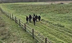 Kütahya’ya uzanan cinayet dosyası çözüldü! Topraktan kemikler çıktı