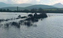 Balık Keyfi Kâbusa Döndü: Sakarya Nehri’nde Mahsur Kaldılar