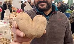 Doğanın sürprizi: Kalp formunda patates ilgi odağı oldu