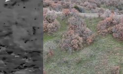 Termal kameradan kaçamadılar: Kaçak avcılar yakayı ele verdi