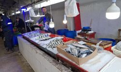 Kütahya'daki aile yaz kış demiyor: 60 yıldır ilçeleri dolaşarak balık satıyor