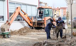 Tavşanlı'da çevre düzenleme çalışmaları sürüyor
