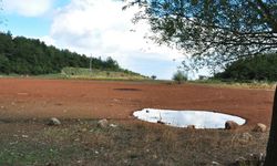 Kütahya’da çiftçilere kritik uyarı: Göllenmeye dikkat, kökler çürümesin