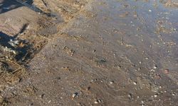 Kütahya'daki köyde yollar çöple doldu: ''Çocuklarımız okula gitmekte güçlük çekiyor''