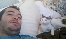 8 aydır kayıp olan kedisini bulmak için binlerce km yol yaptı