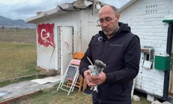 Kütahya'da kuşçuluk, maaşları geçiyor: ''Bir çift kuşu 80 bin liraya sattım''