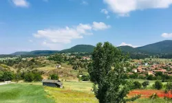 Kütahya'da tehlike çanları çalıyor: Köylüler toprağını terkediyor