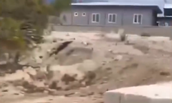 Kütahya’da barınak iddiası gündem oldu: Kazılan çukurlar ne için?