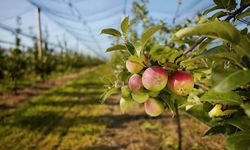 Kütahya’da çiftçinin geleceği için son fırsat!