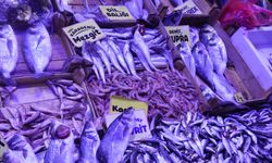 Şubat’ta hamsi tahtını kaybetti:  Kütahya'da yeni kral belli oldu