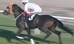 Mersin’de aşevi yemeğinde şok detay: Kavurmadan çıkan parça herkesi şaşırttı