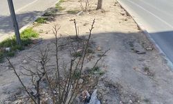 Kütahya Menderes Caddesi’nde Refüj Krizi: Sorumlu Kim?