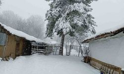 Bilecik bayram sabahına beyaz örtüyle uyandı