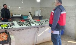 Emet'te balıkçılara yönelik kontrol yapıldı