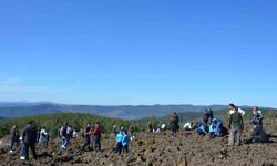 Emet’te doğaya nefes: Zeytin fidanları dikildi