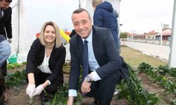 Kütahya’da örnek proje: Okulda yetişen ilk ürün ıspanak oldu