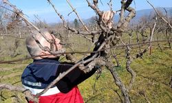 Simav’da yem bitkileri ve hububatta verim analizi