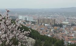Kütahya'da Hisar ve Hıdırlık'ta çiçek açan ağaçlar manzara keyfini katladı