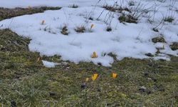 Kütahya'da kar ve çiçek açan çiğdemler kartpostal manzarası oluşturdu