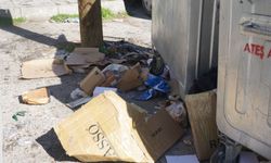 Kütahya'da mahallelerde çöpler birikti, kötü koku candan bezdirdi