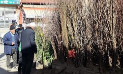 Kütahya'da bunu satanın yüzü gülüyor, 200 TL'den yoğun ilgi görüyor