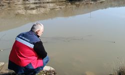 Kütahya'da Kaçak avcılığa geçit yok: Efir ve Yemişli’de kontrol