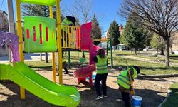 Tavşanlı'da park ve bahçelerde temizlik sürüyor
