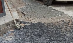 “Survivor yaşıyoruz” demişlerdi: Yenidoğan’da sorun çözüldü