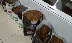 Kütahya’da hayvansever olmanın bedeli ağırlaşıyor: Mama fiyatları cep yakıyor